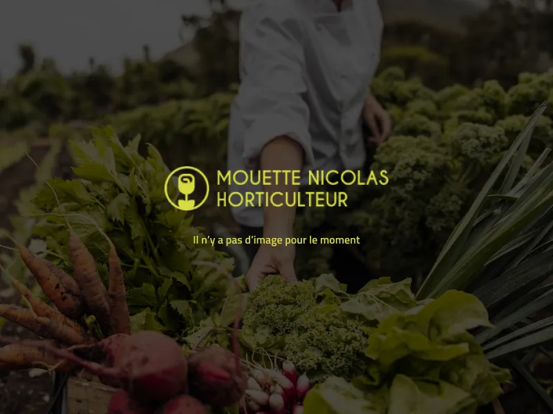 R&eacute;ouverture les samedis