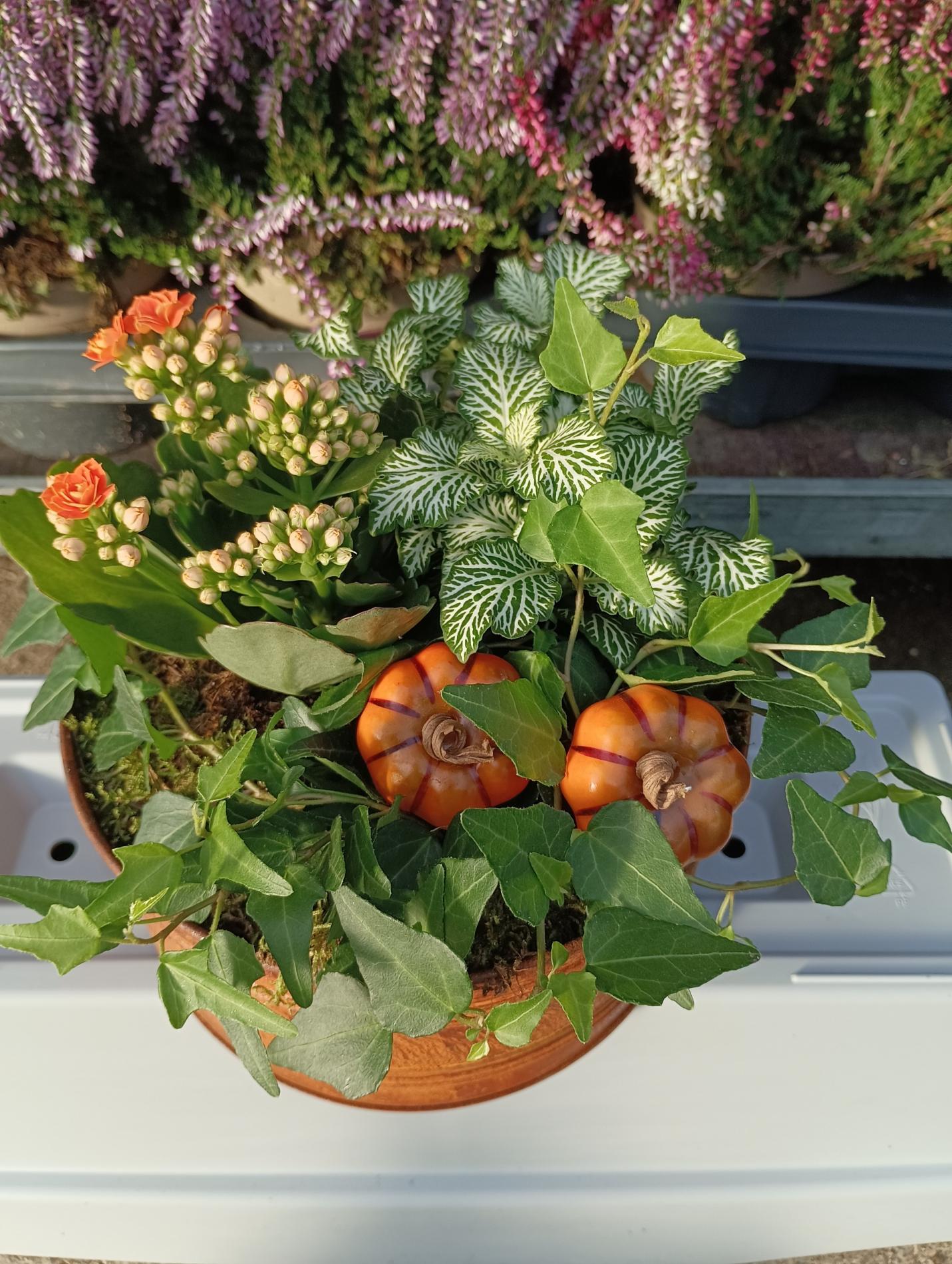 composition d'automne