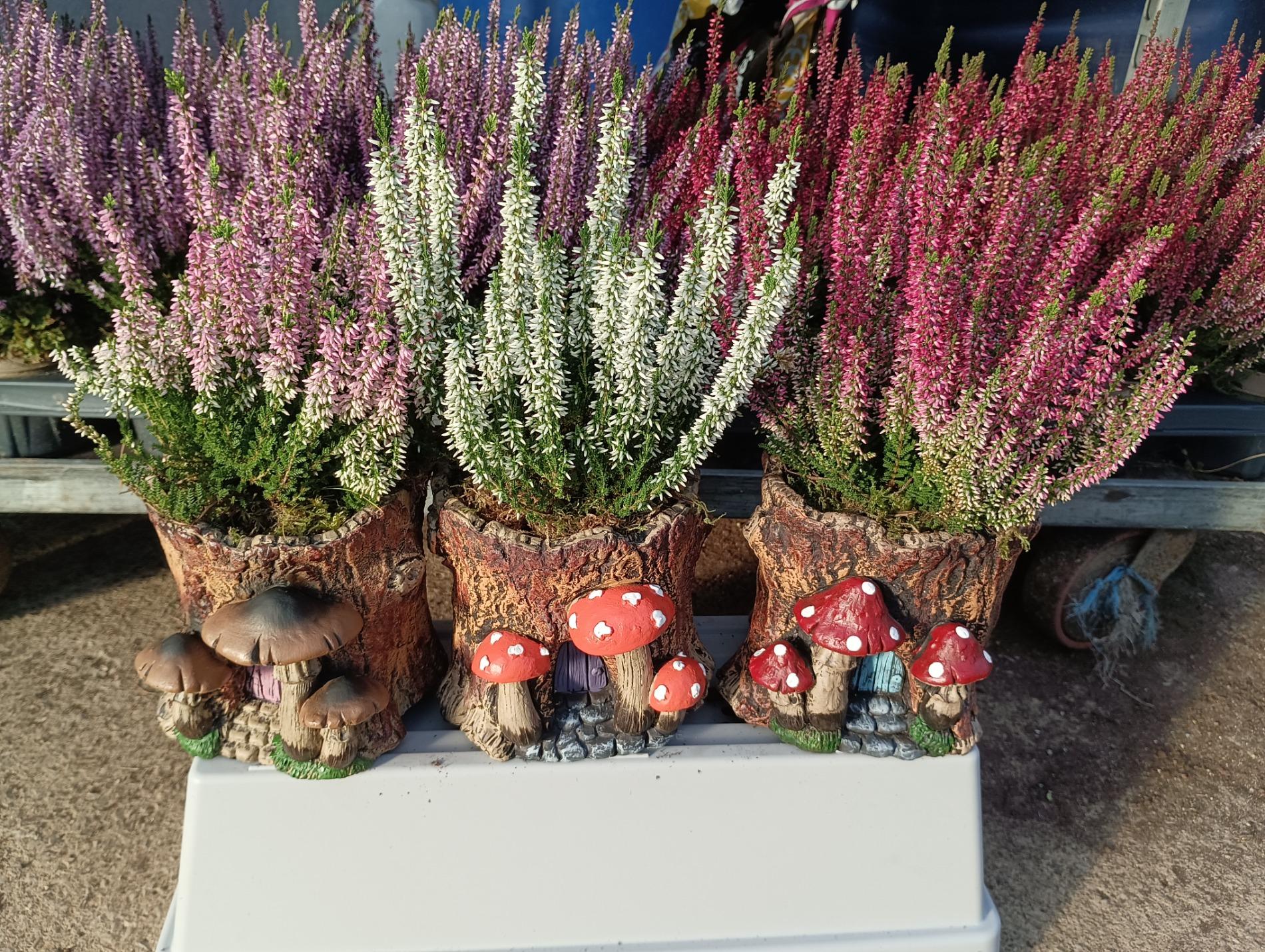 composition d'automne