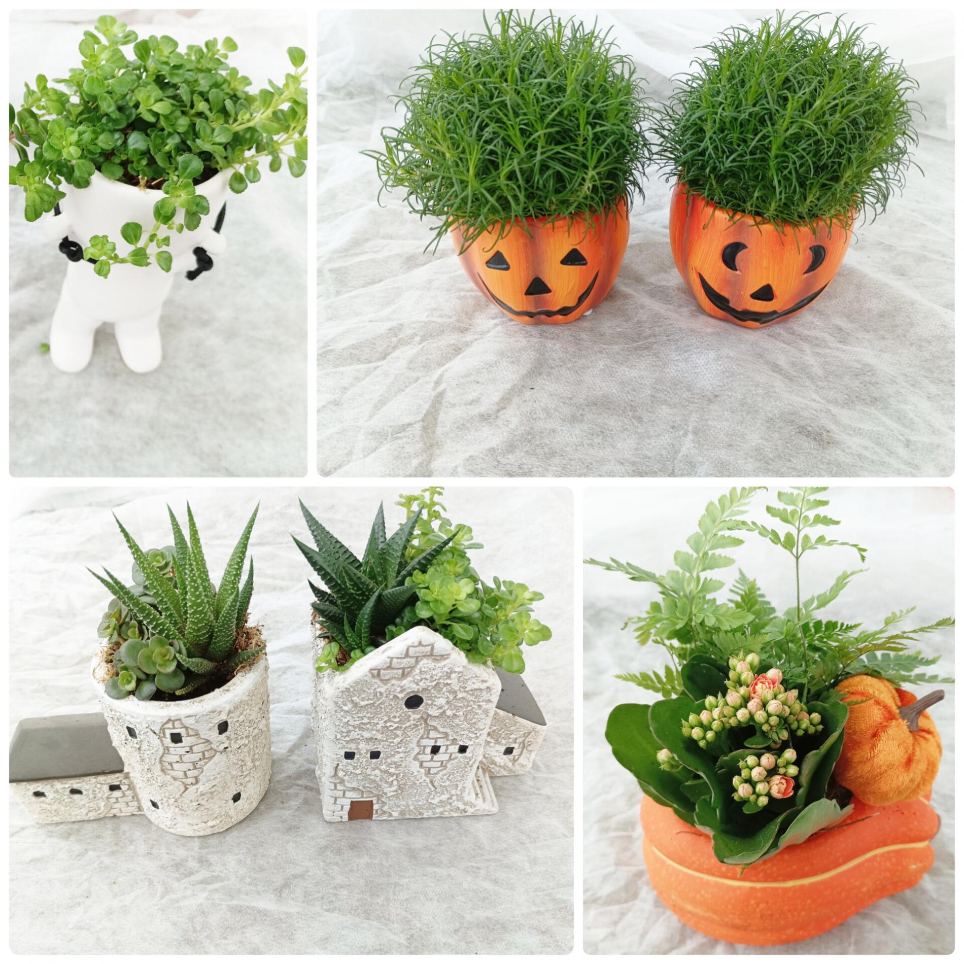 composition d'automne