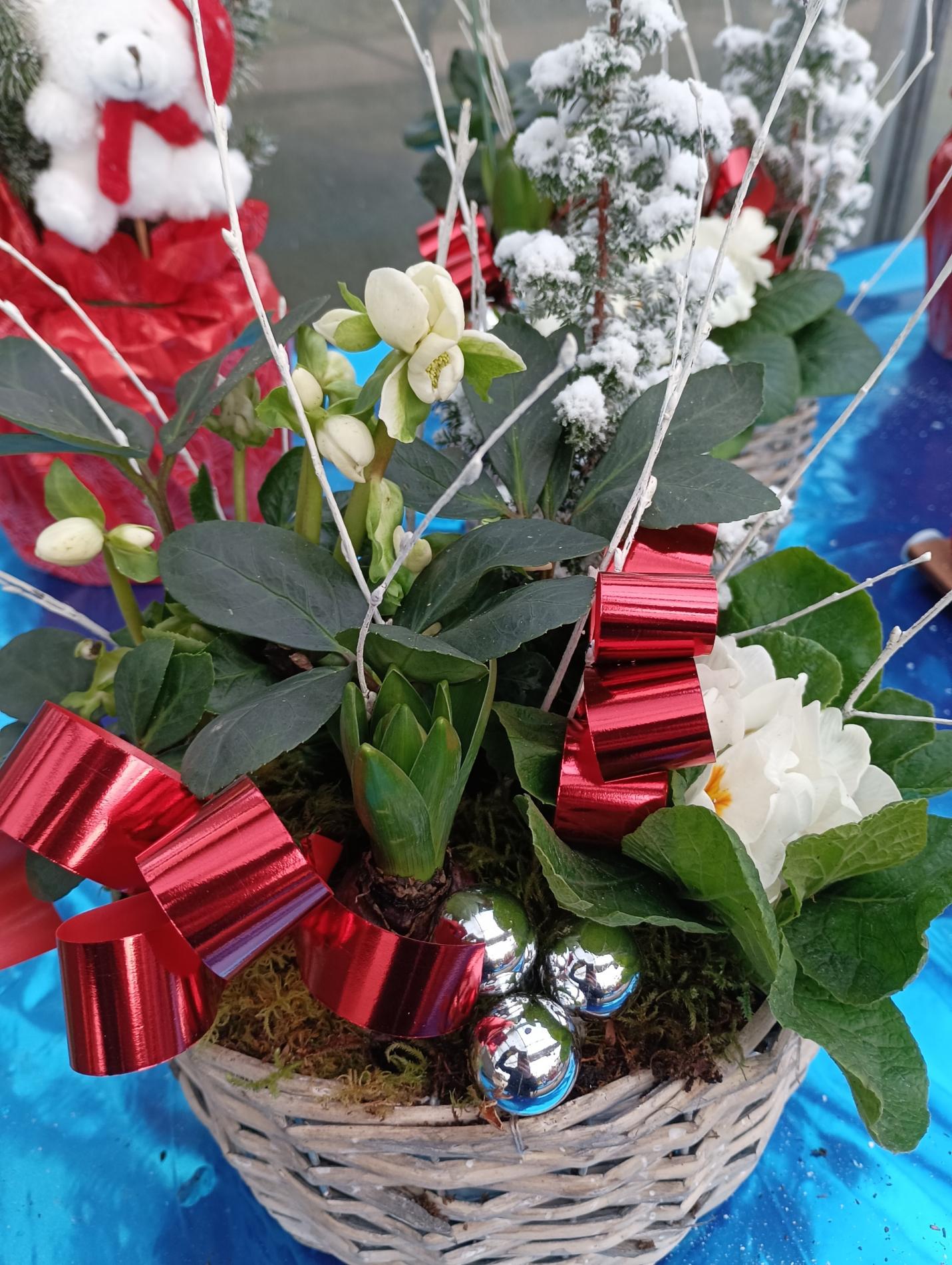 COMPOSITION DE NO&Euml;L