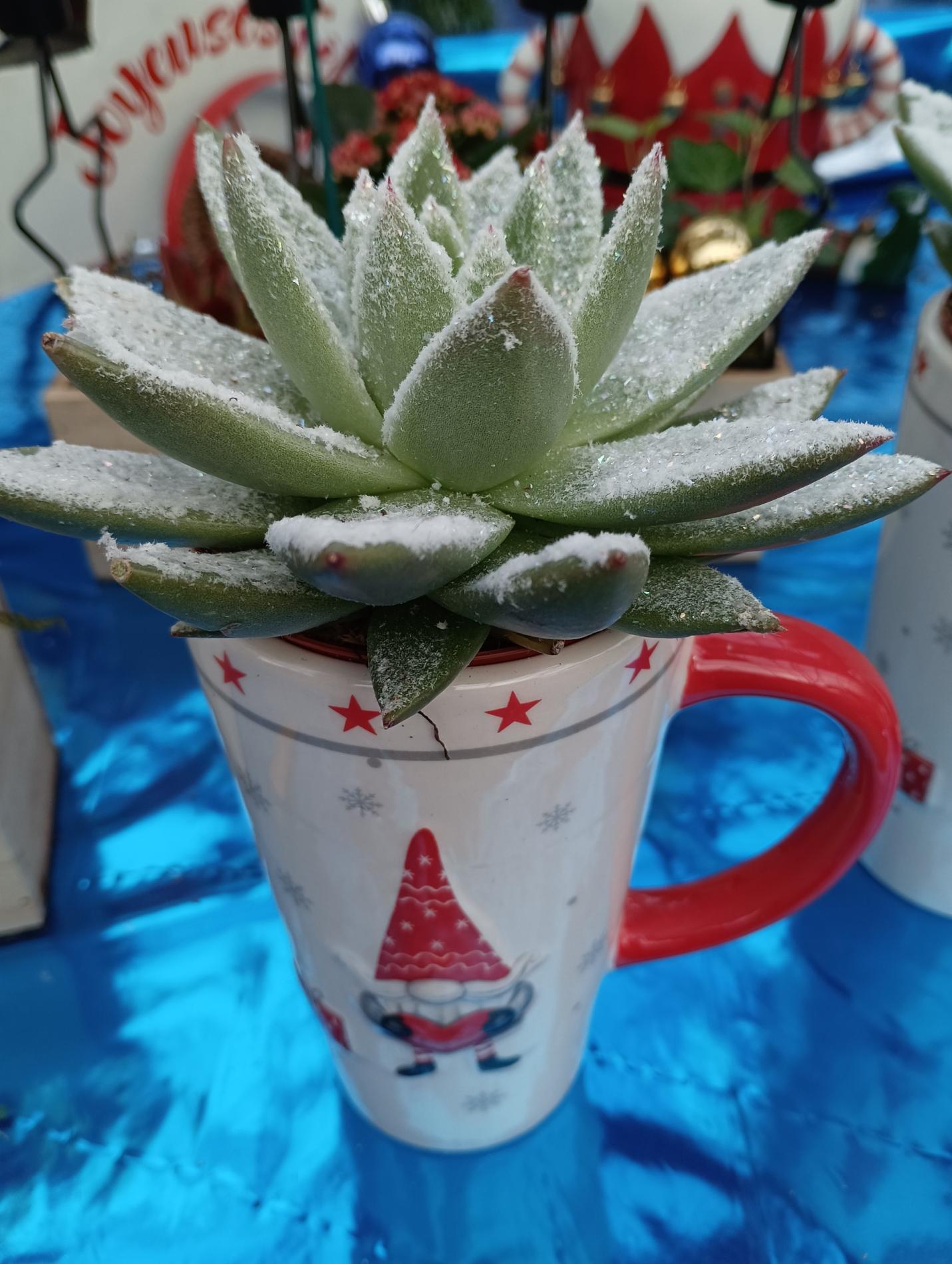 COMPOSITION DE NO&Euml;L