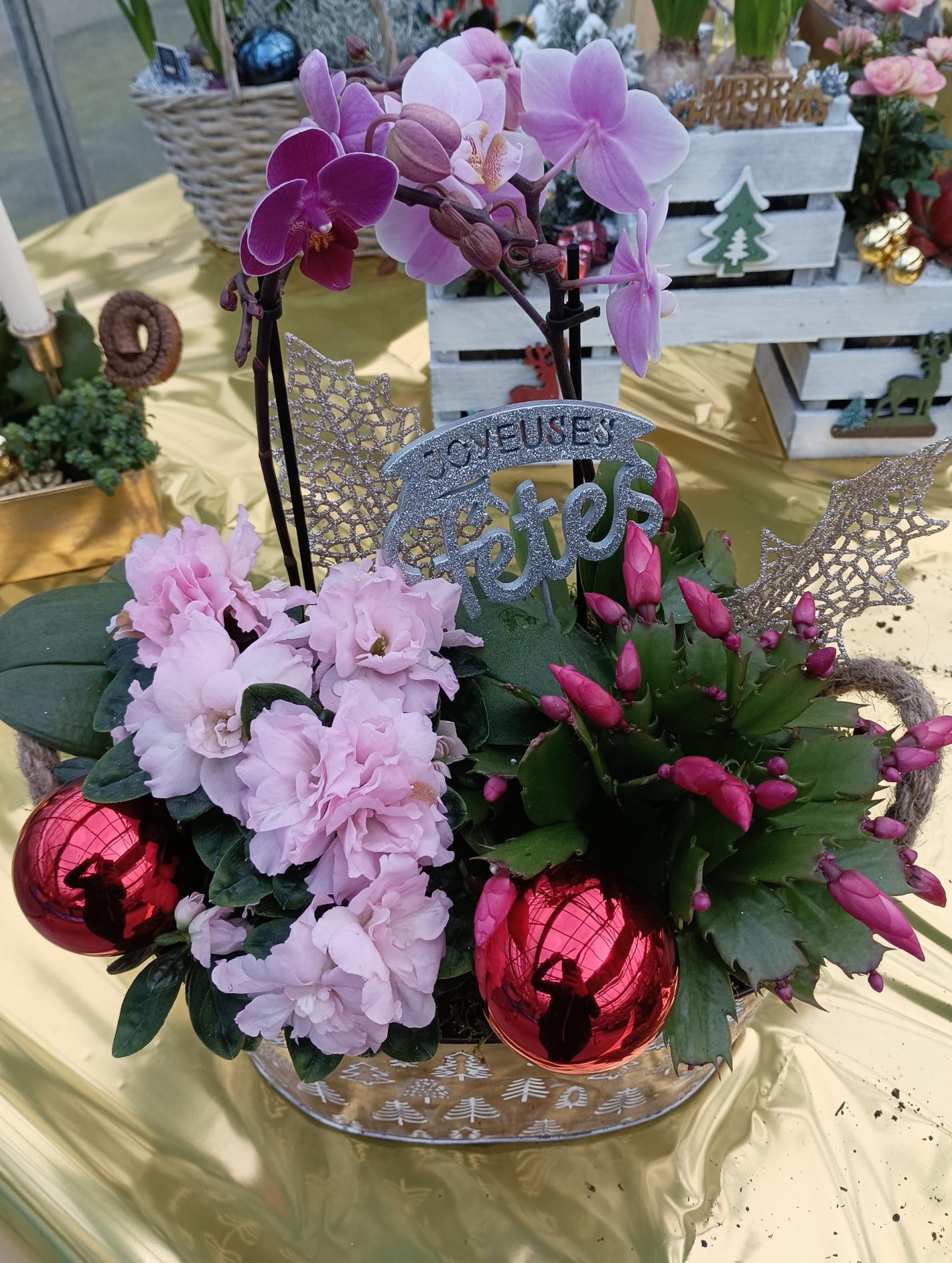 COMPOSITION DE NO&Euml;L