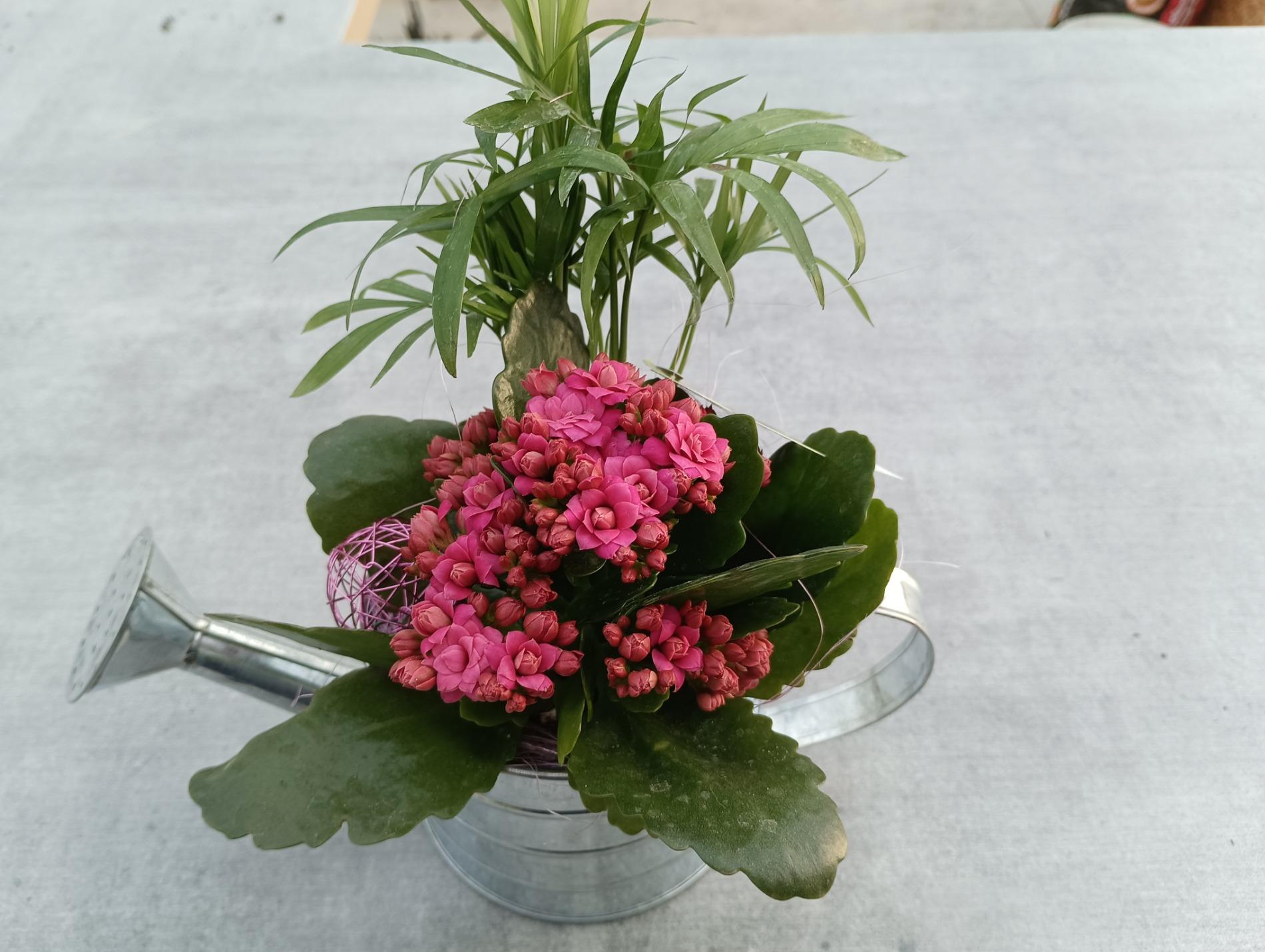 Composition d'int&eacute;rieur