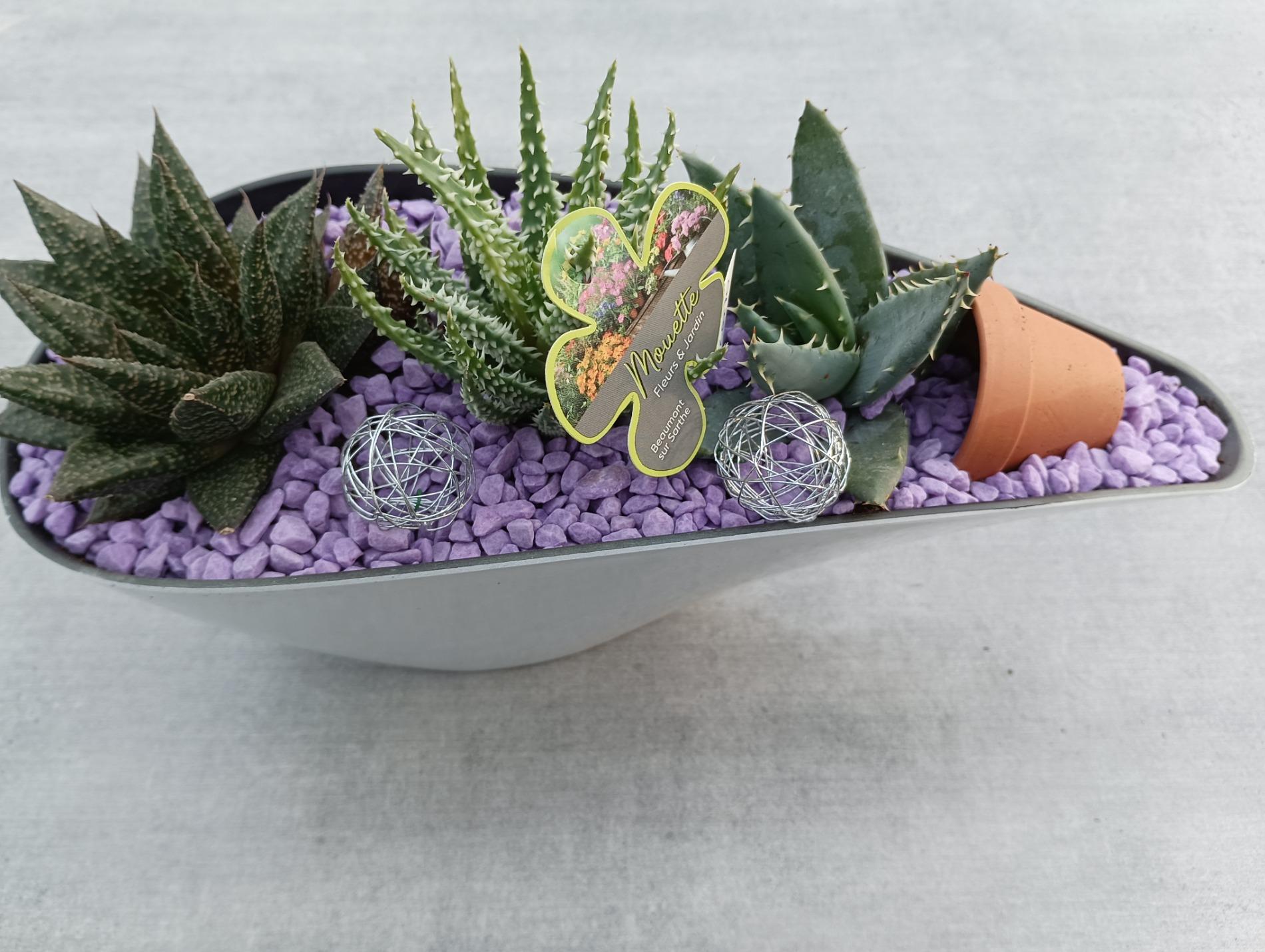 Composition d'int&eacute;rieur