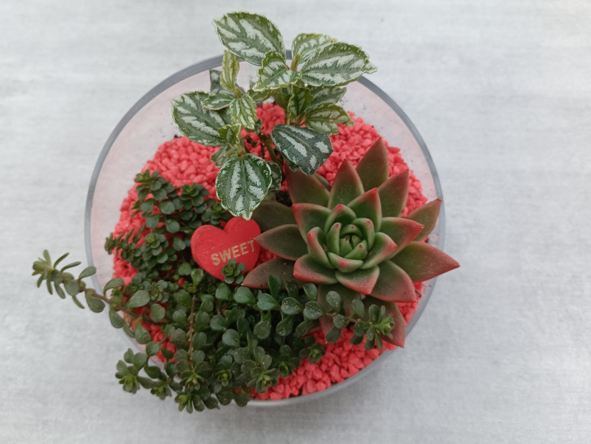 Composition d'int&eacute;rieur