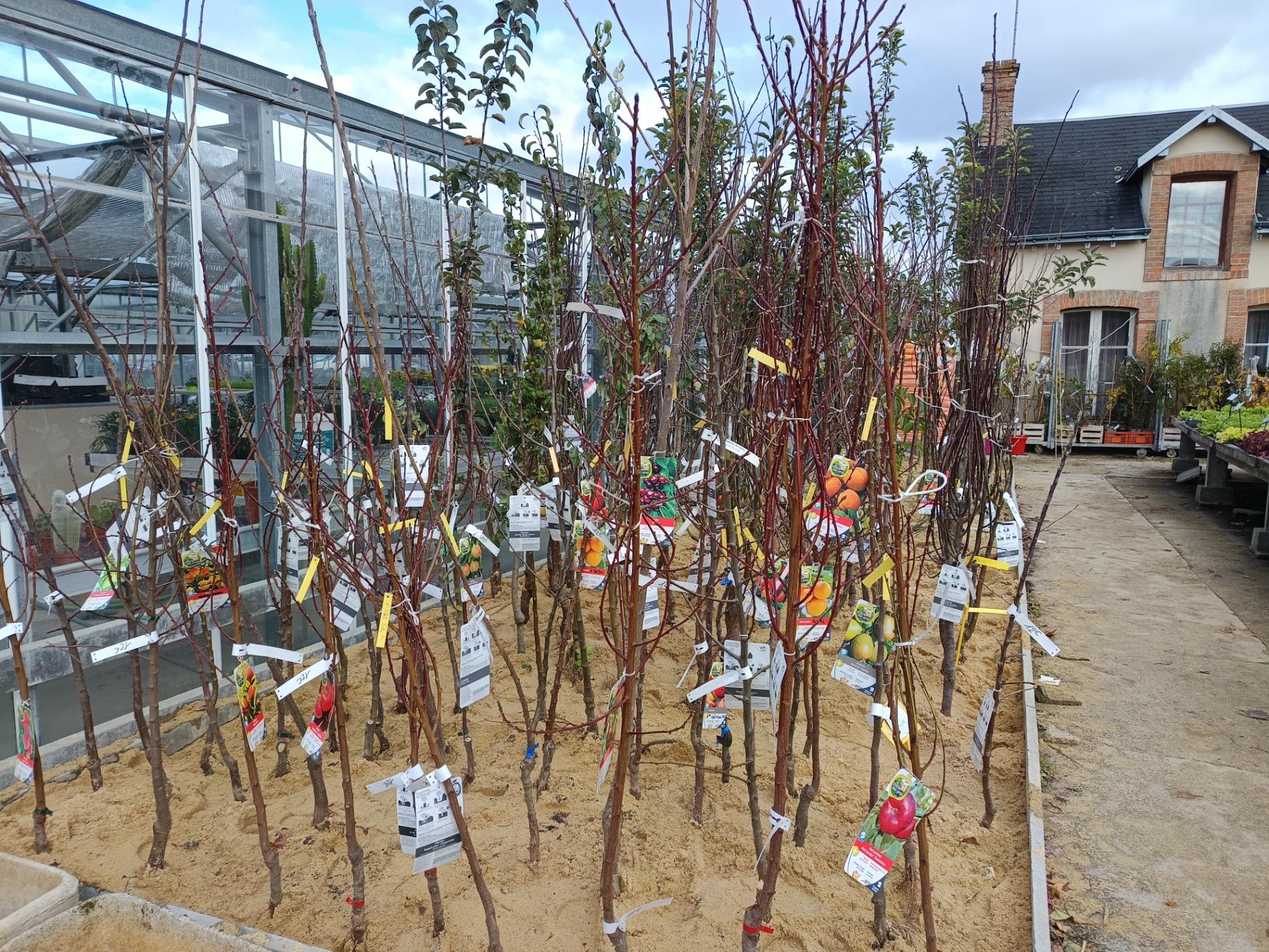 OUVERTURE EXCEPTIONNELLE